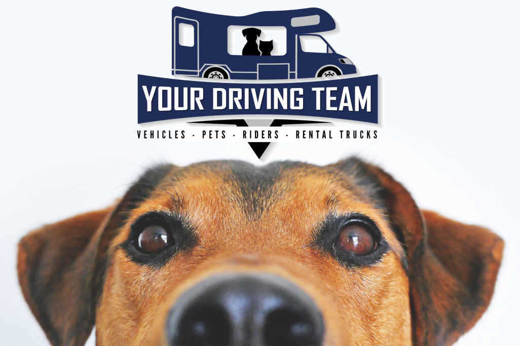Copyright Your Driving Team 701